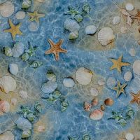 ttBEACH-CD3871 BLUE